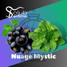 Solub Arome "Nuage Mystic" (Смородина з м'ятою)