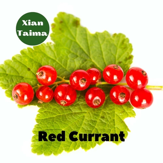 Ароматизатор для самозамеса Xi'an Taima Red Currant Красная смородина