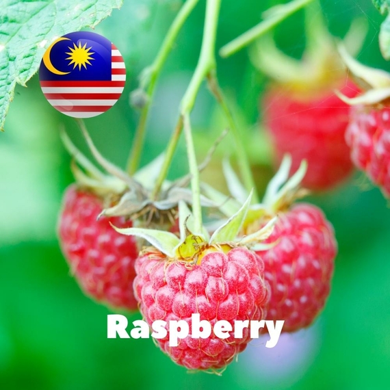 Арома для самозамісу Malaysia flavors Raspberry
