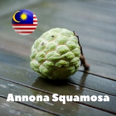 Malaysia flavors "Annona squamosa"