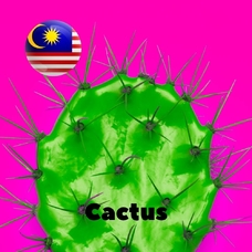 Malaysia flavors "Cactus"
