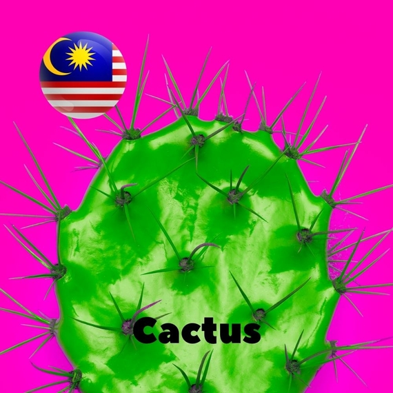 Відгук на ароматизатор Malaysia flavors Cactus