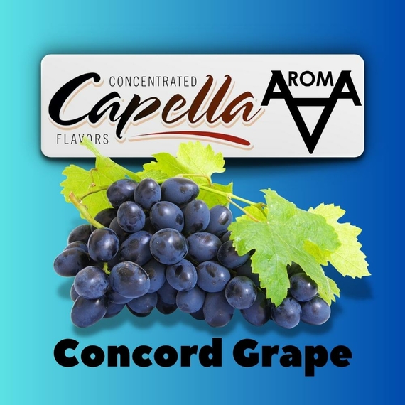 Capella Concord Grape Виноград Конкорд