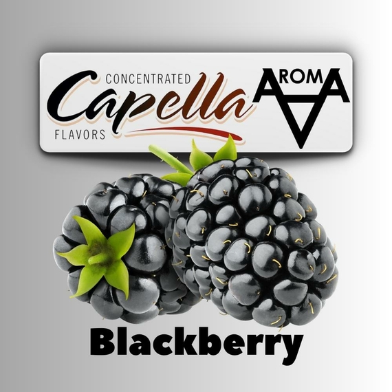 Capella Blackberry Ежевика