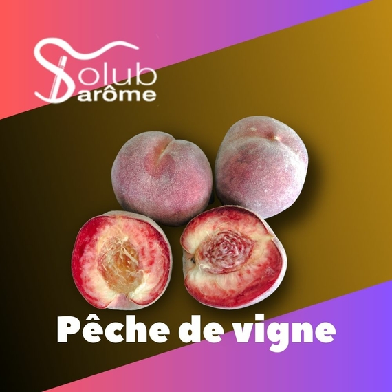 Aroma Solub Arome Pêche de vigne Винний персик