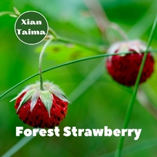 Xi'an Taima "Forest Strawberry" (Суниця)