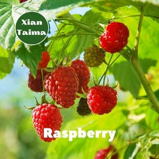 Xi'an Taima "Raspberry" (Малина)