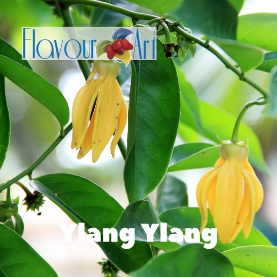 Ароматизатор FlavourArt Ylang Ylang Іланг-іланг