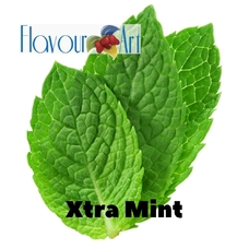 FlavourArt "Xtra-Mint (Экстра-мята)"