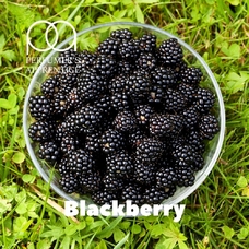 TPA "Blackberry" (Ожина)