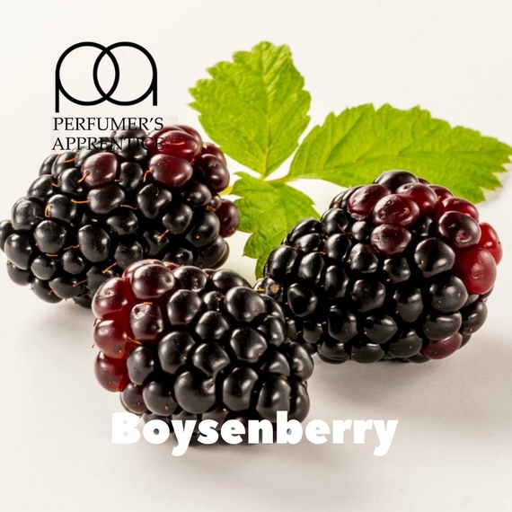 Отзывы на Ароматизтор TPA Boysenberry Бойзенова ягода