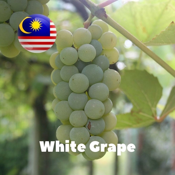 Ароматизатор Malaysia flavors White Grape