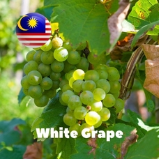 Malaysia flavors "White Grape"
