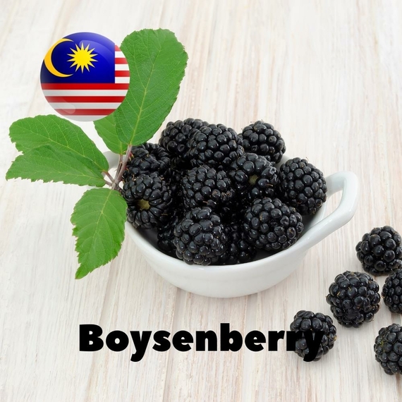Ароматизатор для самозамісу Malaysia flavors Boysenberry