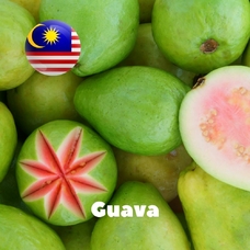 Malaysia flavors "Guava"