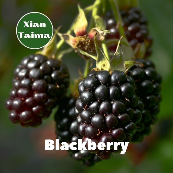 Арома для самозамеса Xi'an Taima Blackberry Ежевика