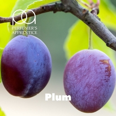 TPA "Plum" (Сочная слива)