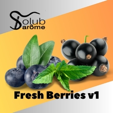 Solub Arome "Fresh Berries v1" (Чорниця смородина м'ята ментол)