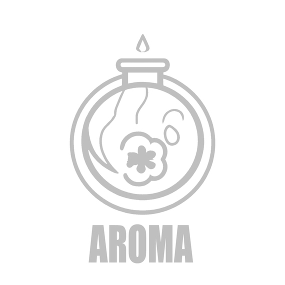 Aroma Flavor Lab Energy 10 мл