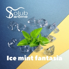 Solub Arome "Ice mint fantasia" (М'ята ментол та кулер)