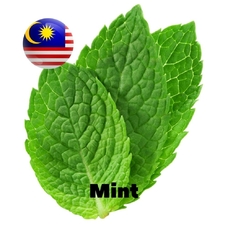 Malaysia flavors "Mint"