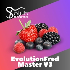 Solub Arome "EvolutionFred Master V3" (Ягоди та смородина)