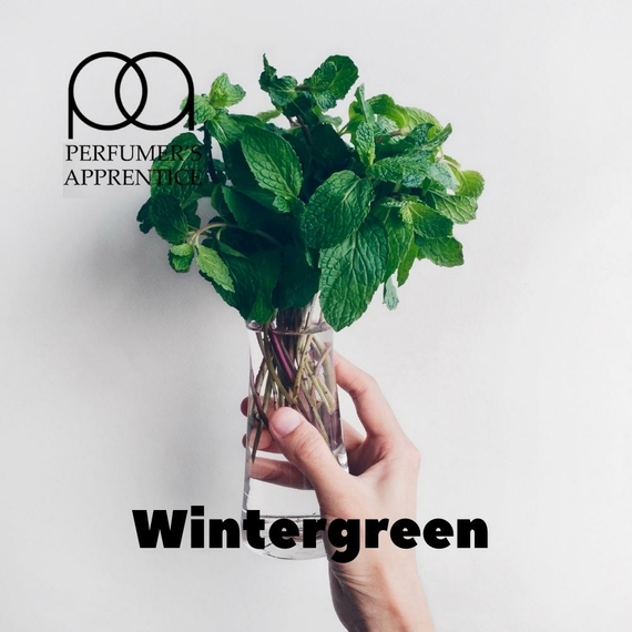 Ароматизаторы для самозамеса TPA Wintergreen Зимняя прохлада