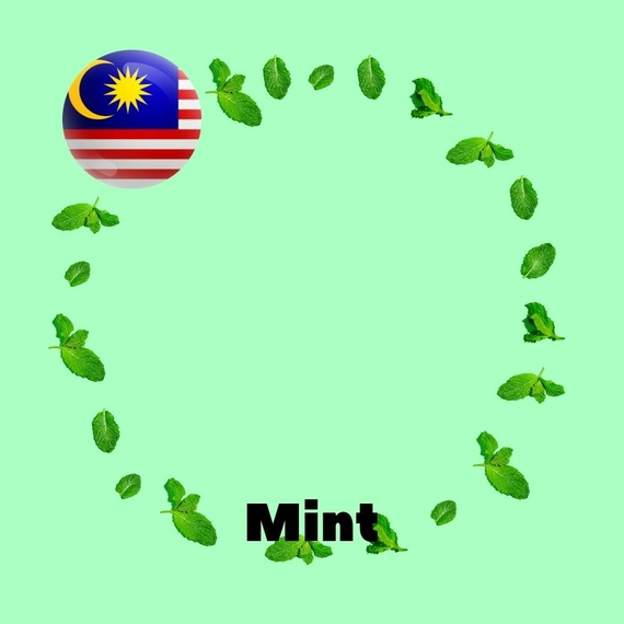 Aroma Malaysia flavors Mint