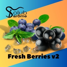 Solub Arome "Fresh Berries v2" (Чорниця смородина м'ята ментол)
