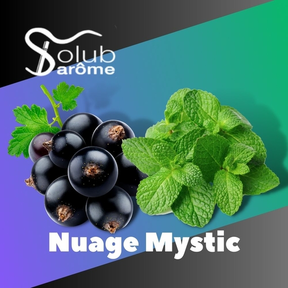 Арома для самозамісу Solub Arome Nuage Mystic Смородина з м'ятою