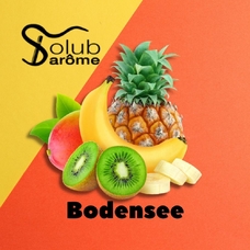 Solub Arome "Bodensee" (Цитрусові та екзотичні фрукти)