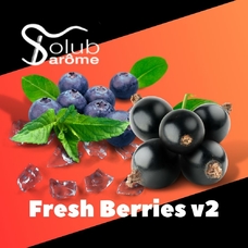 Solub Arome "Fresh Berries v2" (Черника смородина мята ментол)