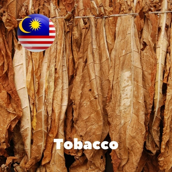 Aroma Malaysia flavors Tobacco