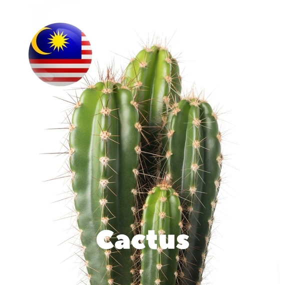 Отзывы на Ароматизтор Malaysia flavors Cactus