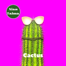 Xi'an Taima "Cactus" (Кактус)