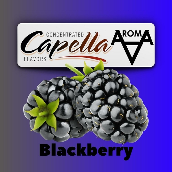 Capella Blackberry Ожина