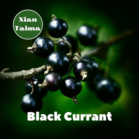 Aroma Xi'an Taima Black currant Чорна смородина