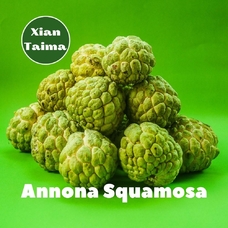 Xi'an Taima "Annona Squamosa" (Анона)