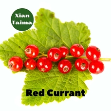 Xi'an Taima "Red Currant" (Красная смородина)
