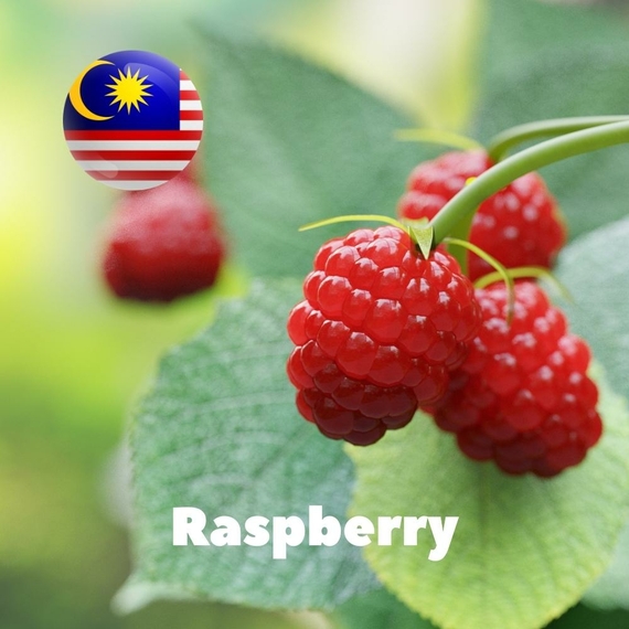Ароматизаторы для жидкостей Malaysia flavors Raspberry