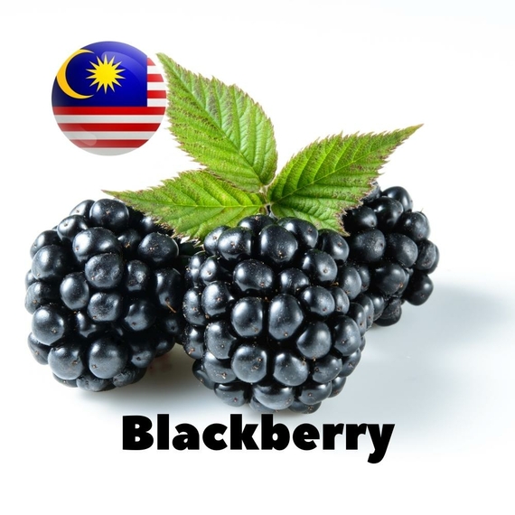 Ароматизатор для самозамеса Malaysia flavors Blackberry