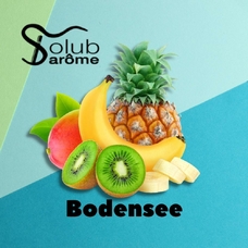 Solub Arome "Bodensee" (Цитрусовые и экзотические фрукты)