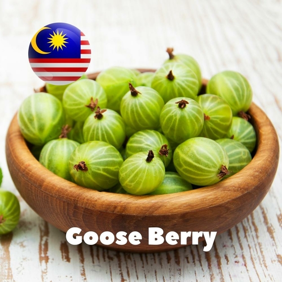 Арома для самозамісу Malaysia flavors Goose Berry