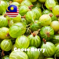 Malaysia flavors "Goose Berry"