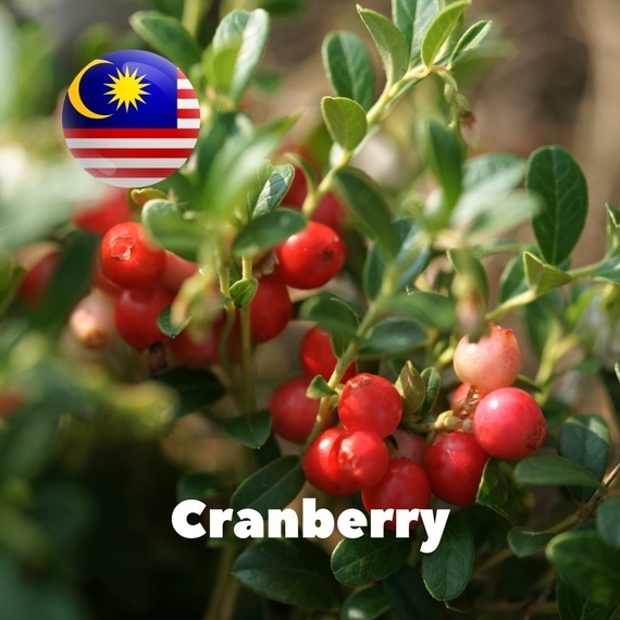 Арома для самозамісу Malaysia flavors Cranberry