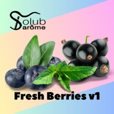 Solub Arome "Fresh Berries v1" (Черника смородина мята ментол)