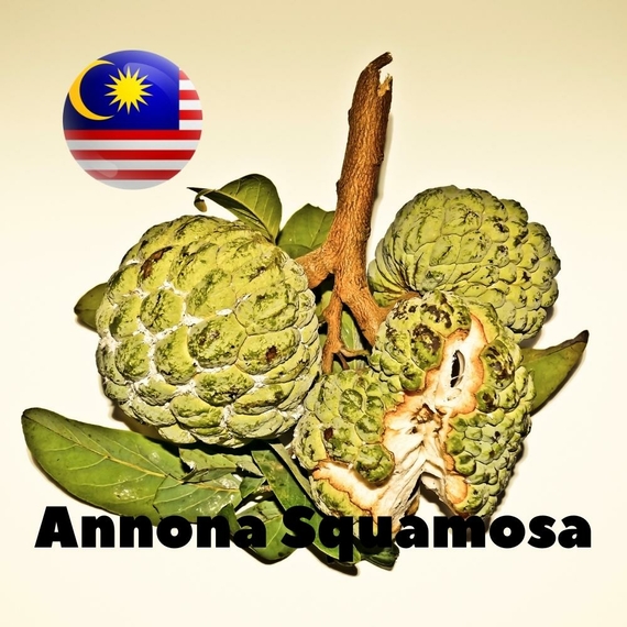 Отзывы на Ароматизтор Malaysia flavors Annona squamosa