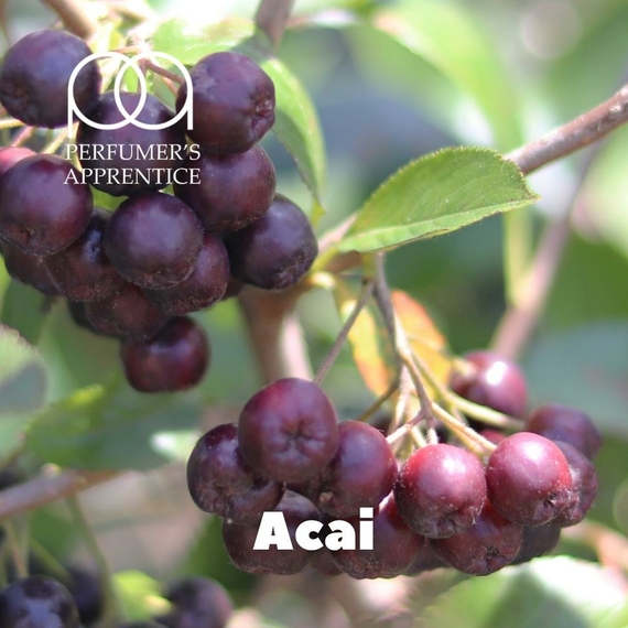 Отзывы на Ароматизтор TPA Acai Ягода Асаи
