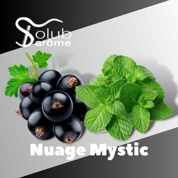 Отзыв Solub Arome Nuage Mystic Смородина с мятой