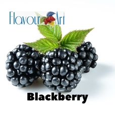 FlavourArt "Blackberry (Ежевика)"